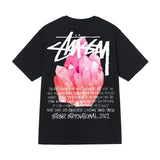 ステューシー STUSSY T シャツ メンズ レディース 半袖 トップス ストリート並行輸入品