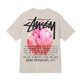 ステューシー STUSSY T シャツ メンズ レディース 半袖 トップス ストリート並行輸入品