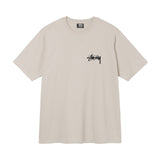 Chrysanthemum ステューシー STUSSY Tシャツ メンズ レディース 半袖 トップス ストリート並行輸入品