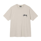 ステューシー STUSSY T シャツ メンズ レディース 半袖 トップス ストリート並行輸入品