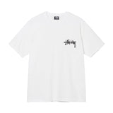 ステューシー STUSSY T シャツ メンズ レディース 半袖 トップス ストリート並行輸入品