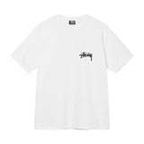 DoubleDice ステューシー STUSSY Tシャツ メンズ レディース 半袖 トップス ストリート並行輸入品